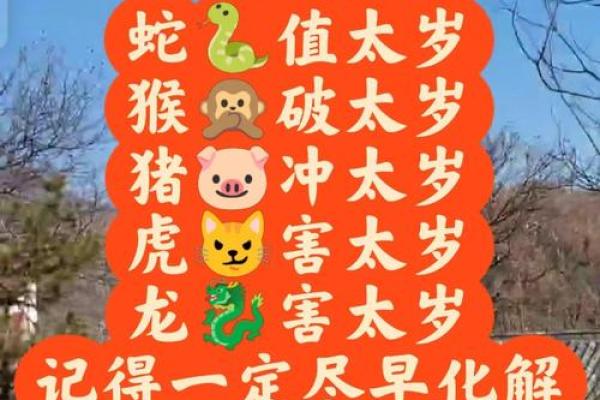 2025年属鼠人1972年出生的事业财运和健康运势如何破解太岁