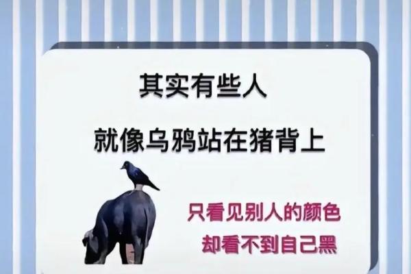 ‌添油加醋打一生肖 → 狐狸‌（狐言添薪，煽风点火）