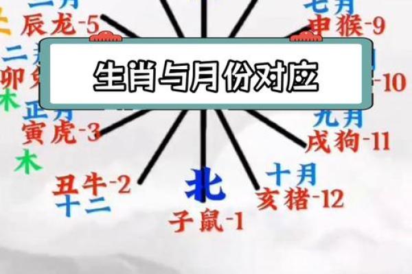 2013年属什么生肖属相 2013年属什么生肖五行什么