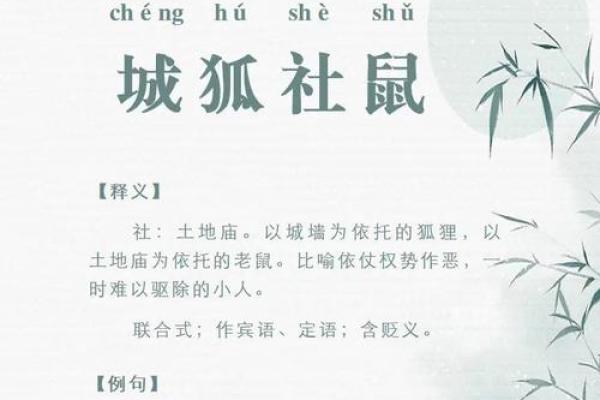 二一之间定春秋打一最佳生肖(二一之间是什么数字)