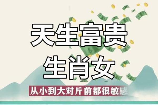 属鸡的适合干什么行业最赚钱