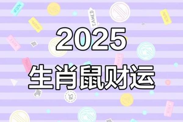 2025年1月属鼠的财运怎么样，在投资理财方面有什么需要注意？