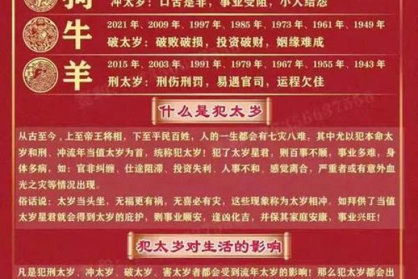 2024年属鼠人的运势详解，今年事业财运健康方面会有重大变化吗？