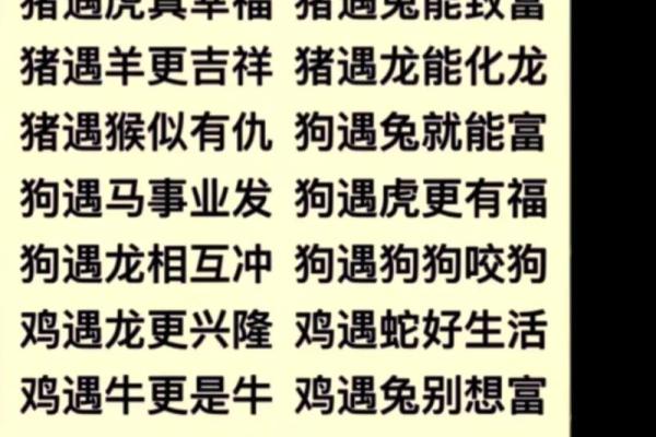 狗女和鸡男属相合不合 狗女和鸡男配吗