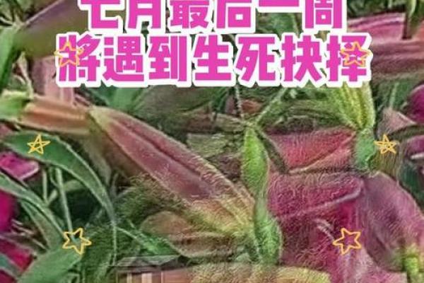 ‌好色成性打一生肖 → 兔‌（兔迷桂影，风流成癖）