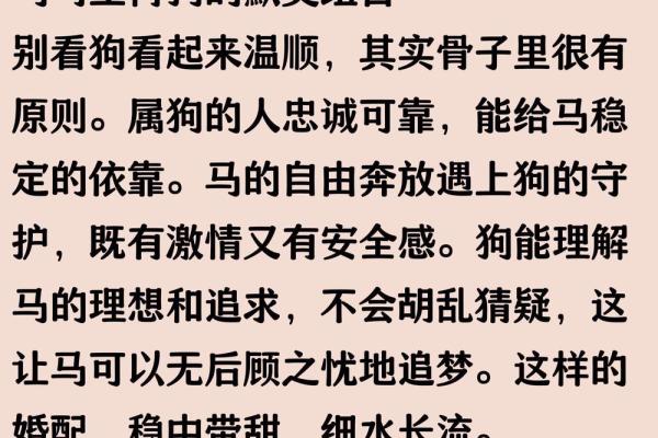 属马的属相婚配表 属马的属相婚配表大全集图片