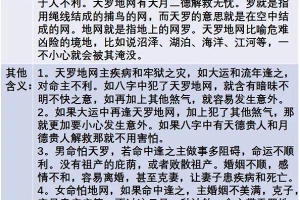 天罗地网打一正确的生肖(天罗地网指什么生肖)