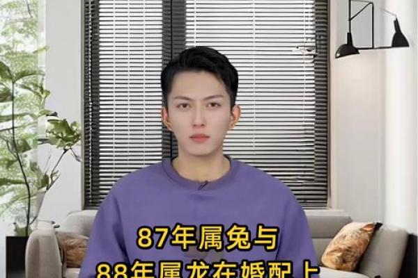 86和88年属相婚配 86年和88年合得来吗