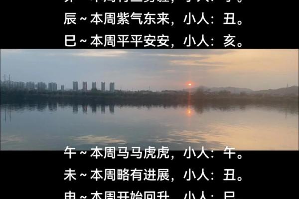 买高大的生肖指什么生肖 买高高在上的生肖