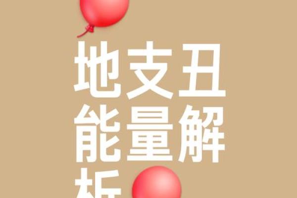 生肖中楚楚动人的代表是谁，揭秘其迷人特质与运势