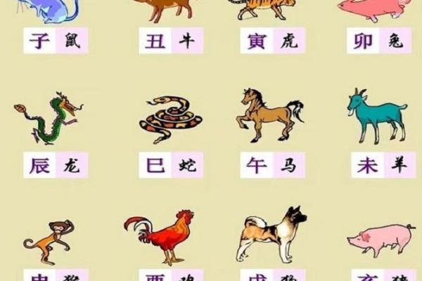 历来富贵三更梦的真正含义，是暗指十二生肖中的哪个属相？