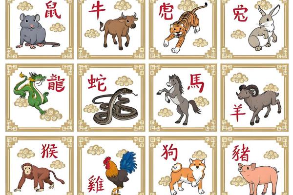 每一年的属相 每一年的属相从哪一天