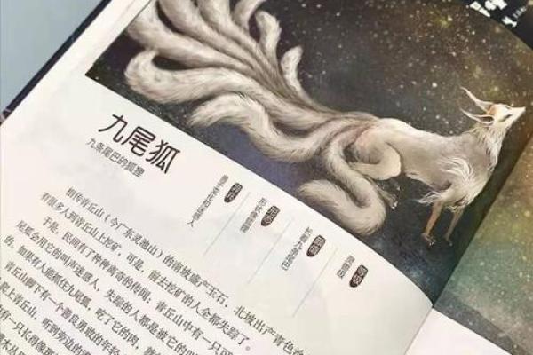 弄文轻武打一准确生肖(弄文轻武的意思)