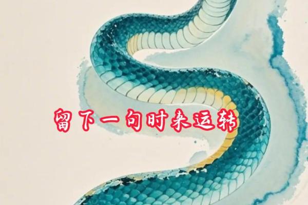 ‌电光火石打一生肖 → 蛇‌（蛇芯疾吐，迅如闪电）