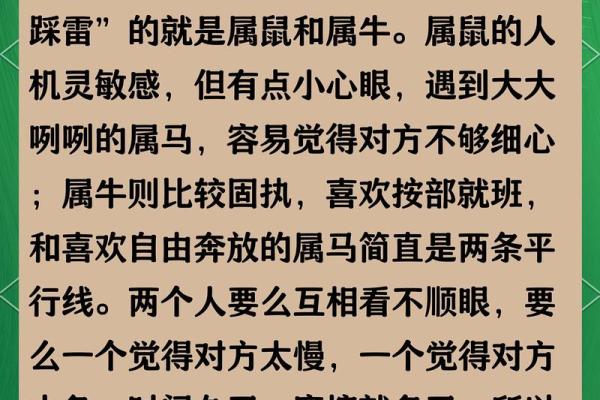 2002年的马婚配最佳属相 2002年的马婚配最佳属相男