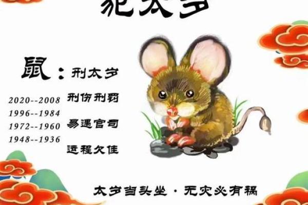 2023年属什么生肖年是什么年 2023年属什么生肖是火年吗