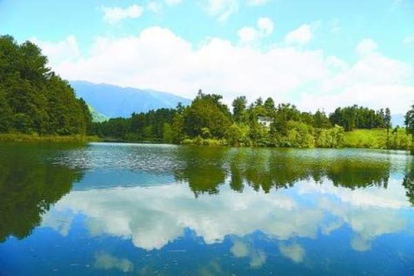 天水一色打一正确生肖 天水一色打一最佳生肖