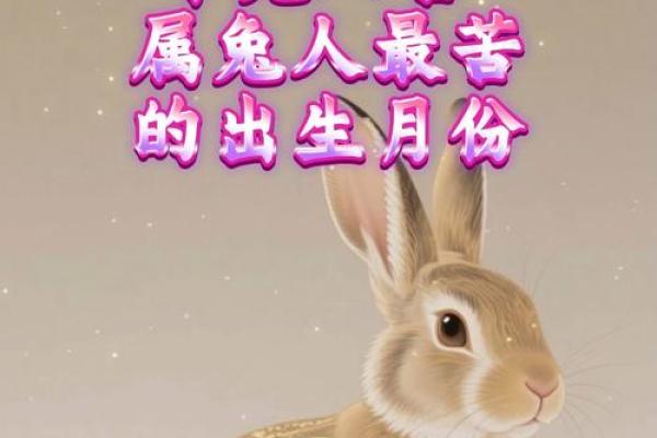 兔出生几月最好 属兔几月出生好,几月出生不好
