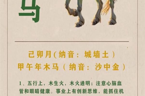 2002年属马最佳婚配属相 2002年属马最佳婚配属相女