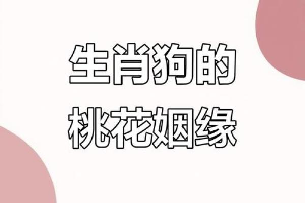 1982年属相婚配 82年的狗最佳配偶表
