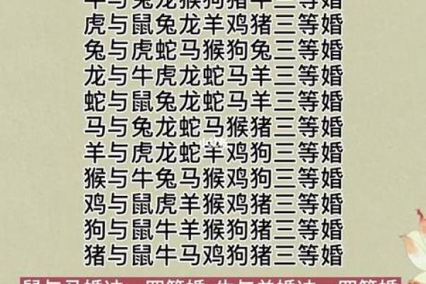 属马人婚配属相表 属马婚姻配属什么最佳