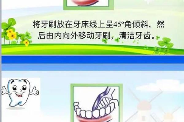 欲钱去买牙刷指的是什么生肖？谜语背后的逻辑和文化内涵