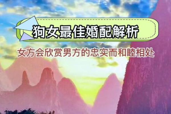 1982属狗最佳婚配 1982年属狗最佳婚配
