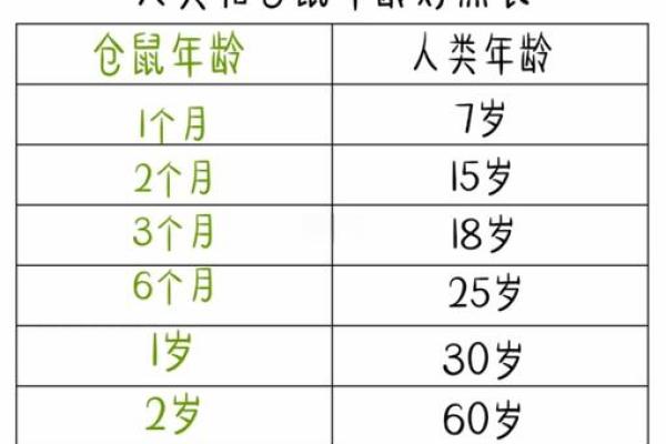 2025年属鼠的人虚岁和周岁的详细对照表，不同年份出生