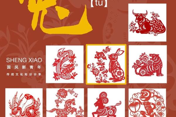 属兔命大富大贵的三大出生日 十兔九富的出生时辰