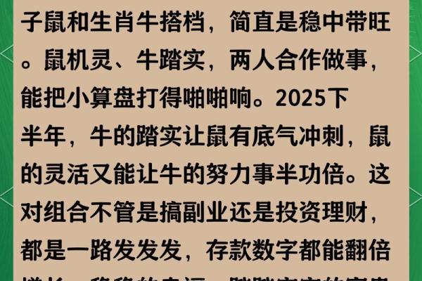 1984年出生的属鼠人40岁后财运详细解析与提升建议