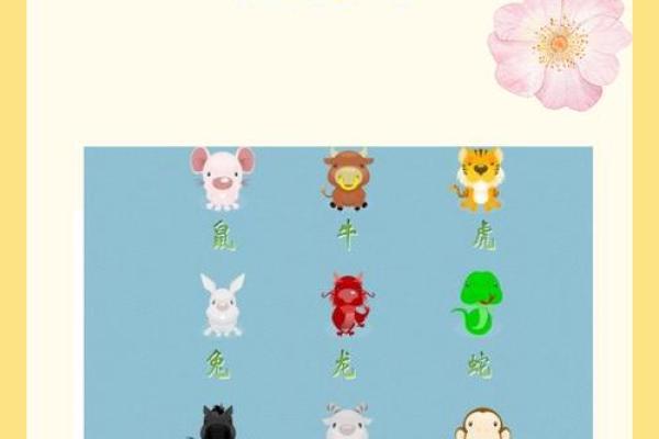 2008年出生的属鼠人今年周岁和虚岁分别多少岁了？