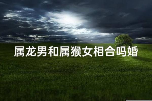 女牛和男猴的属相合不合 女牛和男猴的属相合不合婚姻呢