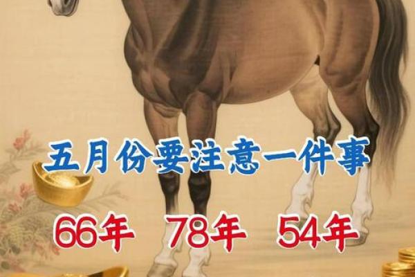 71岁属马是哪年出生的 71岁属马是哪年出生的人