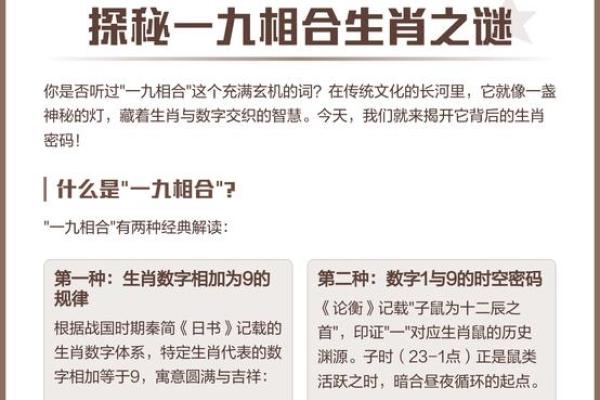 十全十美有几人打一正确生肖的谜底和详细解析是什么