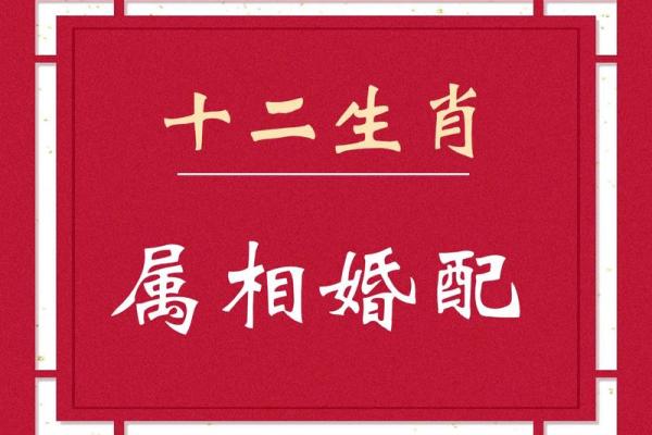 十二生肖最佳婚配属相 十二生肖最佳婚配属相有哪些