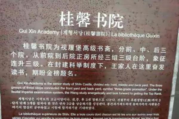 后院种树指什么生肖(后院种树意思)
