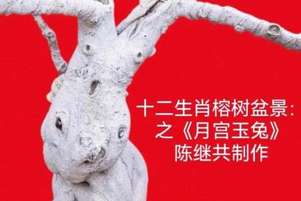 后院种树指什么生肖(后院种树意思)