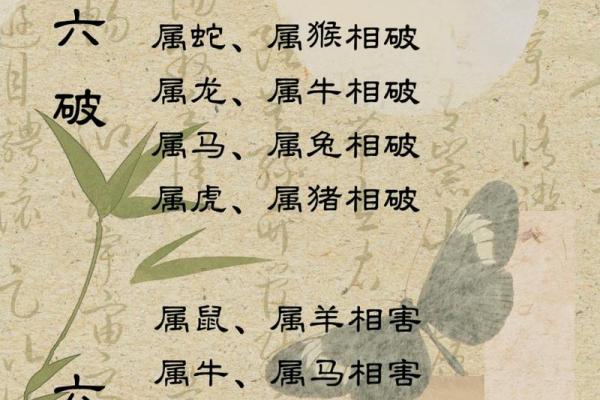 属鼠的三合属相 属鼠的三合属相顺序