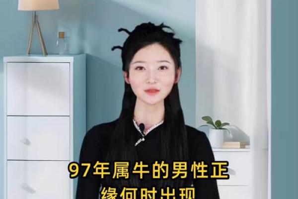 97属牛男哪一年结婚最好 97属牛男最佳结婚年龄