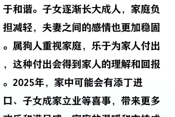 1982年出生的属狗人一生命运如何婚姻和事业详解