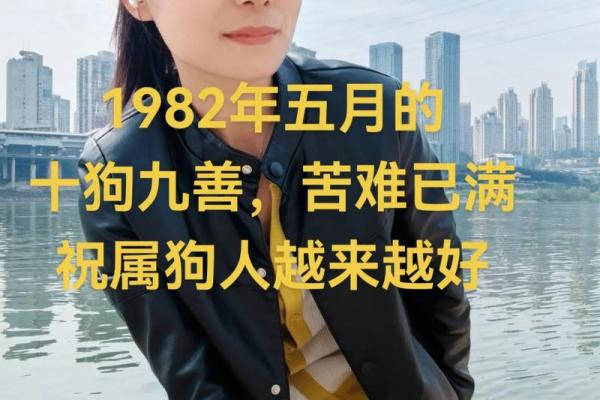 1982年出生的属狗人一生命运如何婚姻和事业详解