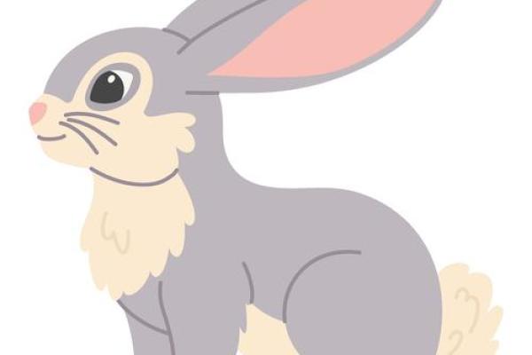 不毛之地打一个生肖