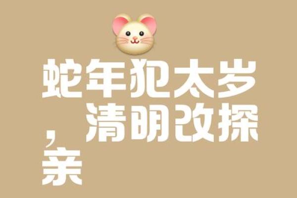 什么生肖不能扫墓 什么生肖不能扫墓祭祀