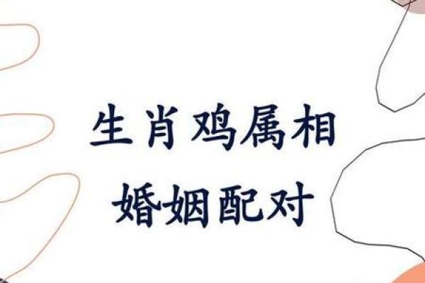 男属鸡女属鼠的婚姻配对是否真的合适，需要注意什么？