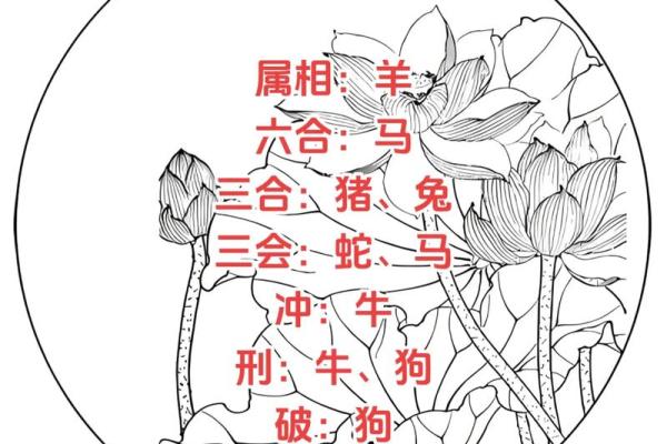 男狗与女鼠属相合不合 男狗和女鼠的属相合不合