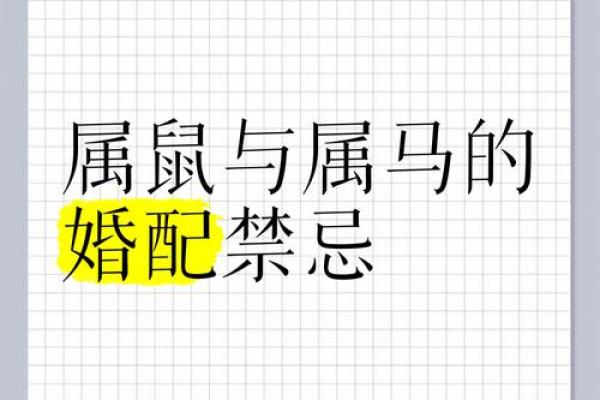 2002年属马男孩婚配属相 2002年属马男孩婚配属相好不好