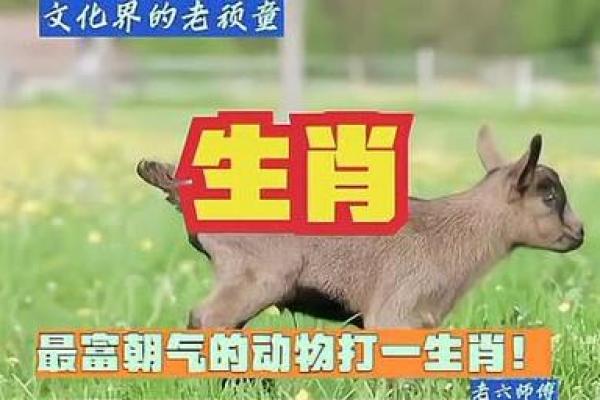 六月飞霜打一生肖