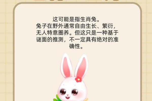 六月飞霜打一生肖