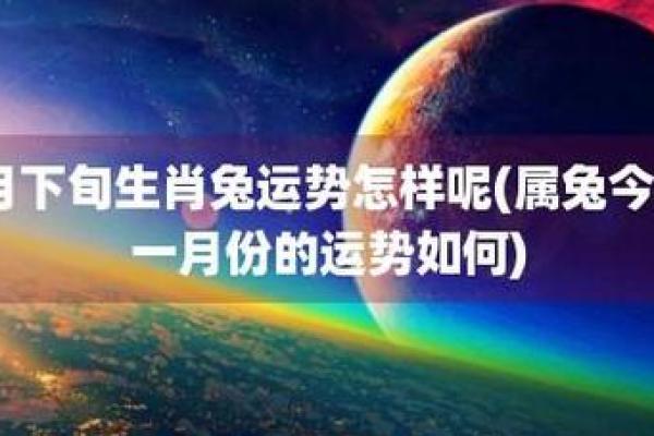 神机妙算打一正确生肖 神机妙算最准确生肖