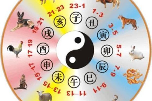 神机妙算打一正确生肖 神机妙算最准确生肖